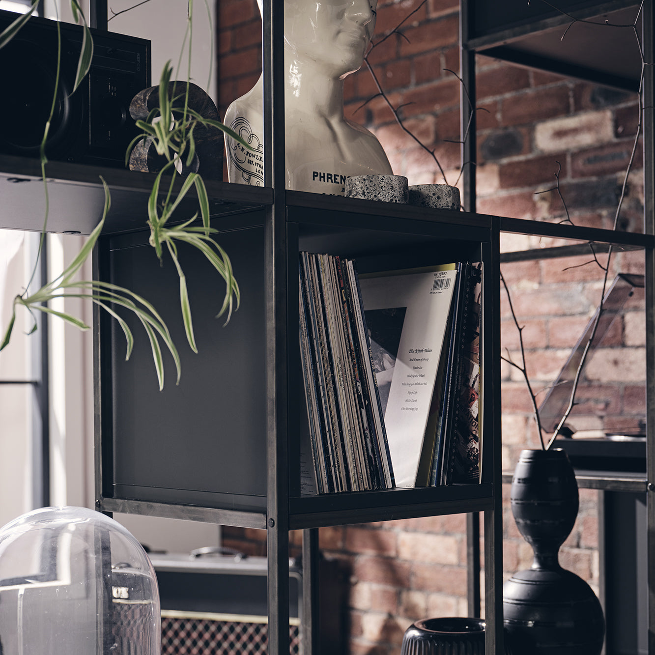 Vinyl Revival: The Rise of Record Collecting by Generation and Region