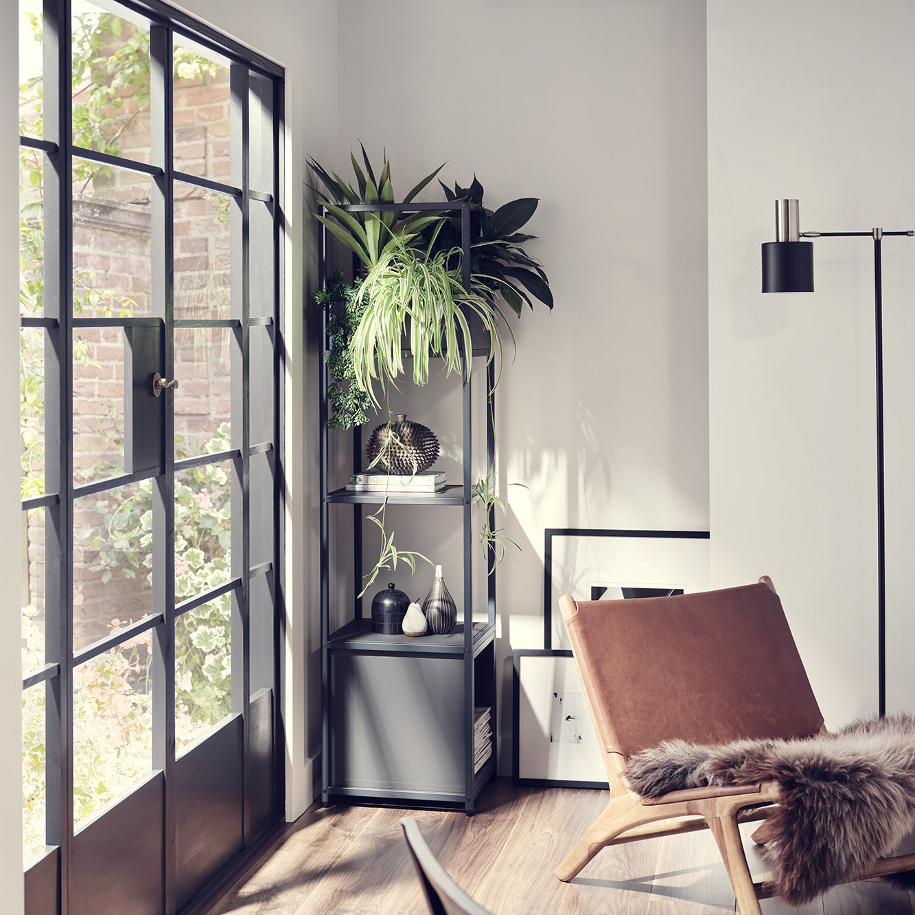 Shelf Goals for Plant Parents: Modular Solutions for Indoor Jungles