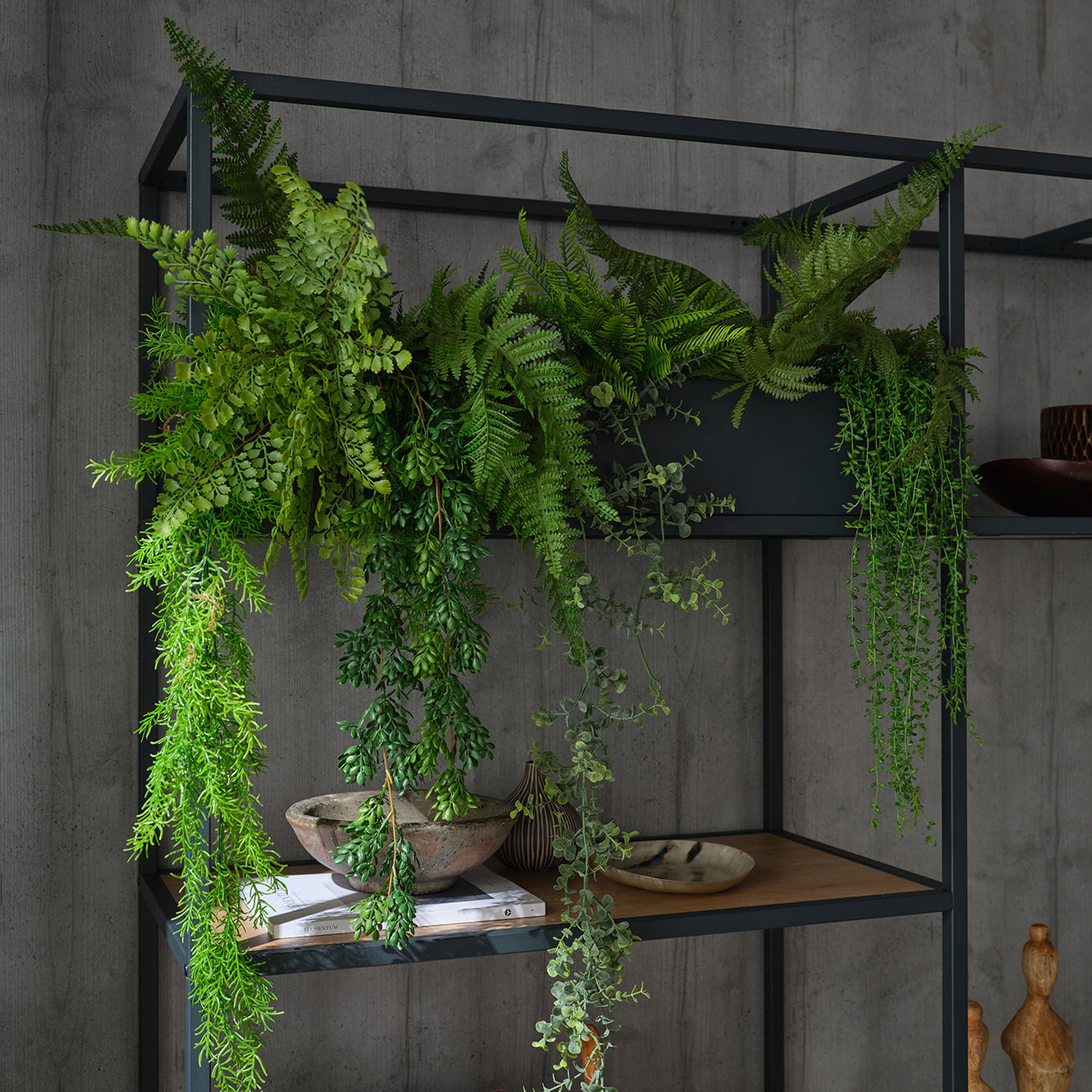 Decorating with House Plants | Shelved