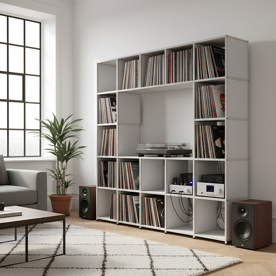 Shelved modular vinyl storage unit with clear coat frame and white panels